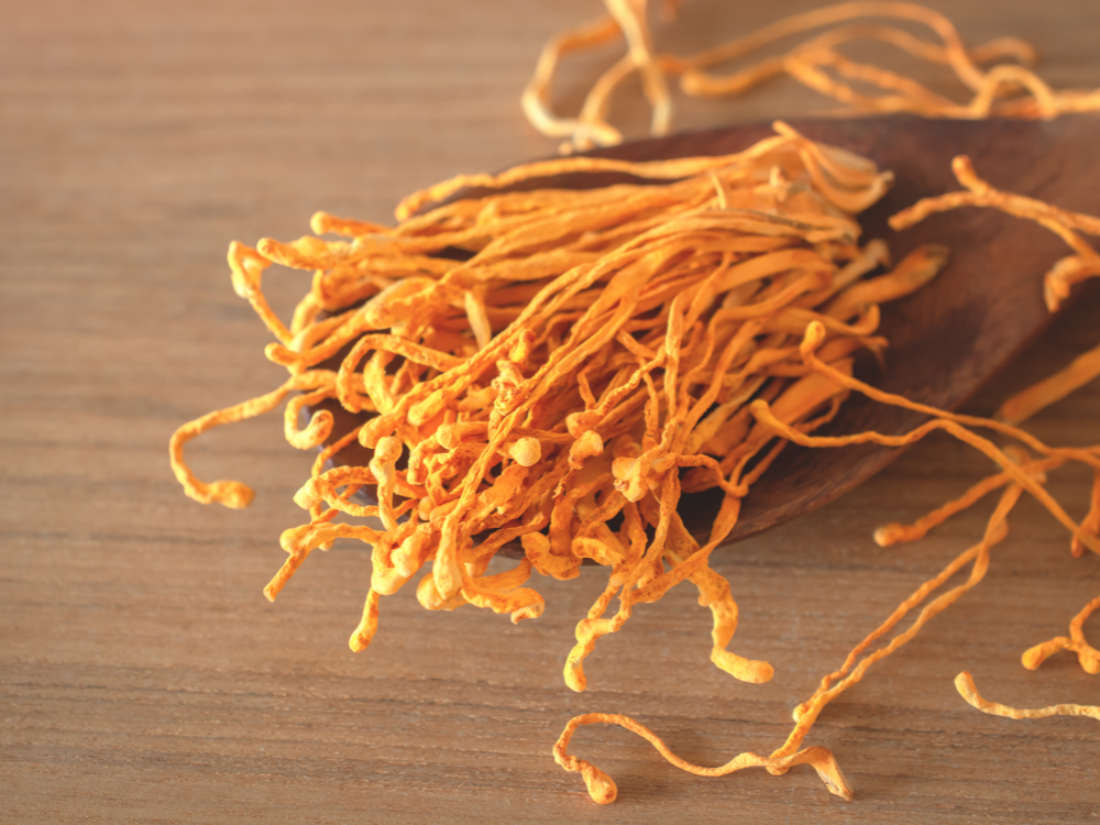 2.Thành phần & xuất xứ